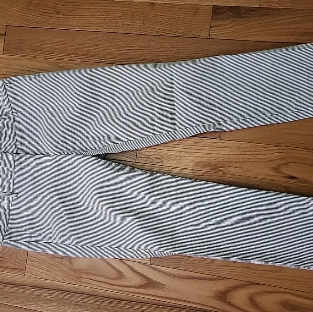 Dalia Blue/white stripe size 12 Dress or casual pants